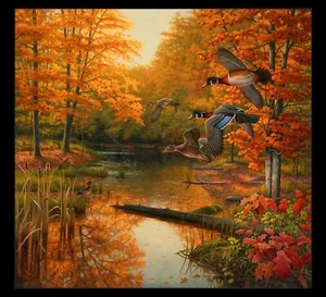 Elizabeths Studio - Magische Jahreszeit - 37"" x 44"" Herbst Holzenten Panel - schwarz - Bild 1 von 4