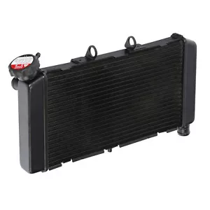 Radiator Cooler Cooling Fit For Honda NC700X 2012-2017 NC750X 2014-2023 - Picture 1 of 10