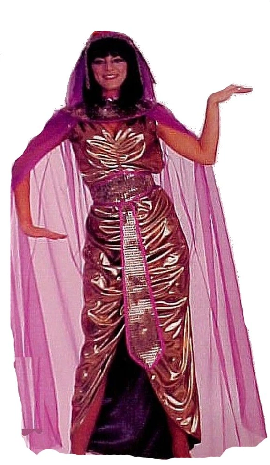 Cleopatra Gold Lame Deluxe Costume for Women or Teens Halloween Party - Image 1 of 1