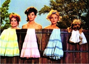 Petticoat Junction Custom TV Show Neuheit Karte - Bild 1 von 4
