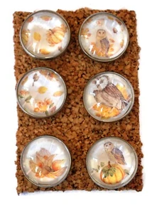 Autumn Owls Decorative Push Pins Thumb Tacks for Cork Board Cute Handmade Office - Picture 1 of 2