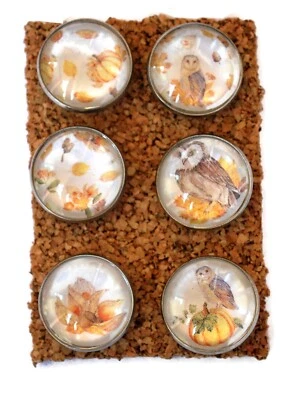 Autumn Owls Decorative Push Pins Thumb Tacks for Cork Board Cute Handmade Office - Image 1 of 2