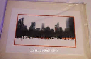 CHRISTO : The Gates, Central Park Original Signed Print Howard Hesseman Estate - Picture 1 of 10
