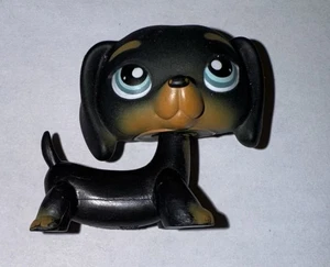 Littlest Pet Shop Dachshund #325 Black w Blue Eyes LPS Authentic - Picture 1 of 3