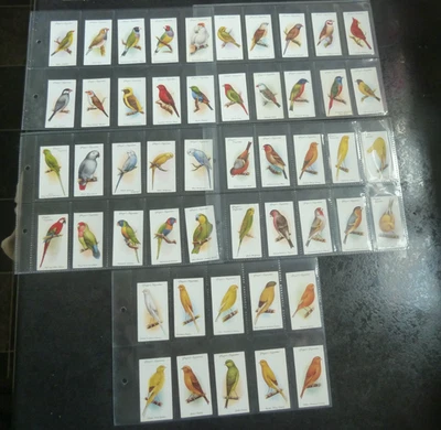 Players AVIARY AND CAGE BIRDS FULL SET 1933 EXCELLENT CONDITION - Image 1 of 3