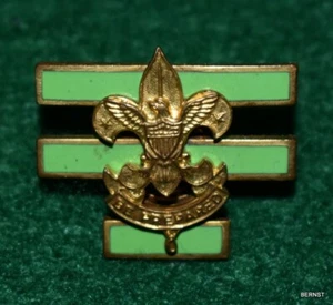 VINTAGE BOY SCOUT - SENIOR PATROL LEADER PIN - SCREW BACK - Picture 1 of 3