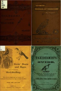 71 Old Books on Taxidermy Techniques Stuffing Mounting Animals Birds Insects DVD - Picture 1 of 12