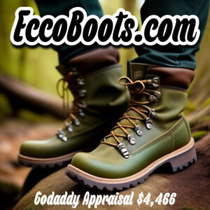 EccoBoots.com - PREMIUM TWO WORD DOMAIN NAME - Godaddy Appraisal $4,466