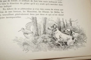 BECASSE BECASSINES ECHASSIERS OBERTHUR CHASSE ILLUSTRATIONS 1948 AUBERT - Picture 1 of 7