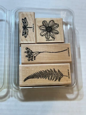 STAMPIN' UP! CONJUNTO DE CARIMBO DE BORRACHA ORGANIC GRACE MONTADO EM MADEIRA, SAMAMBAIA, FLOR, LIBÉLULA - Imagem 1 de 3