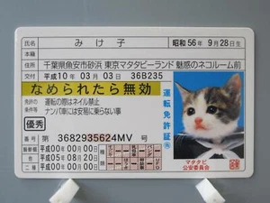 Tarjeta de Conducir Mikeko Namennayo JCC Licencia de Conducir Gatos Bosozoku Kawaii Japonesa Rara Envío Grabado - Imagen 1 de 10