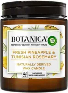 Luftdocht Botanica natürliche Wachskerze Ananas & tunesischer Rosmarin 205g - Bild 1 von 5