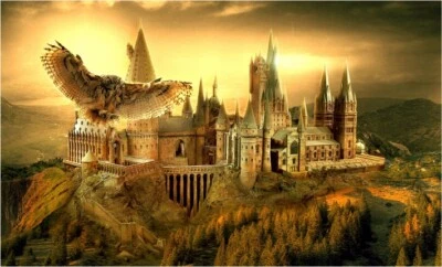 Vlies Fototapete Tapete Poster Harry Potter Hogwarts + KLEISTER T14 - Bild 1 von 2