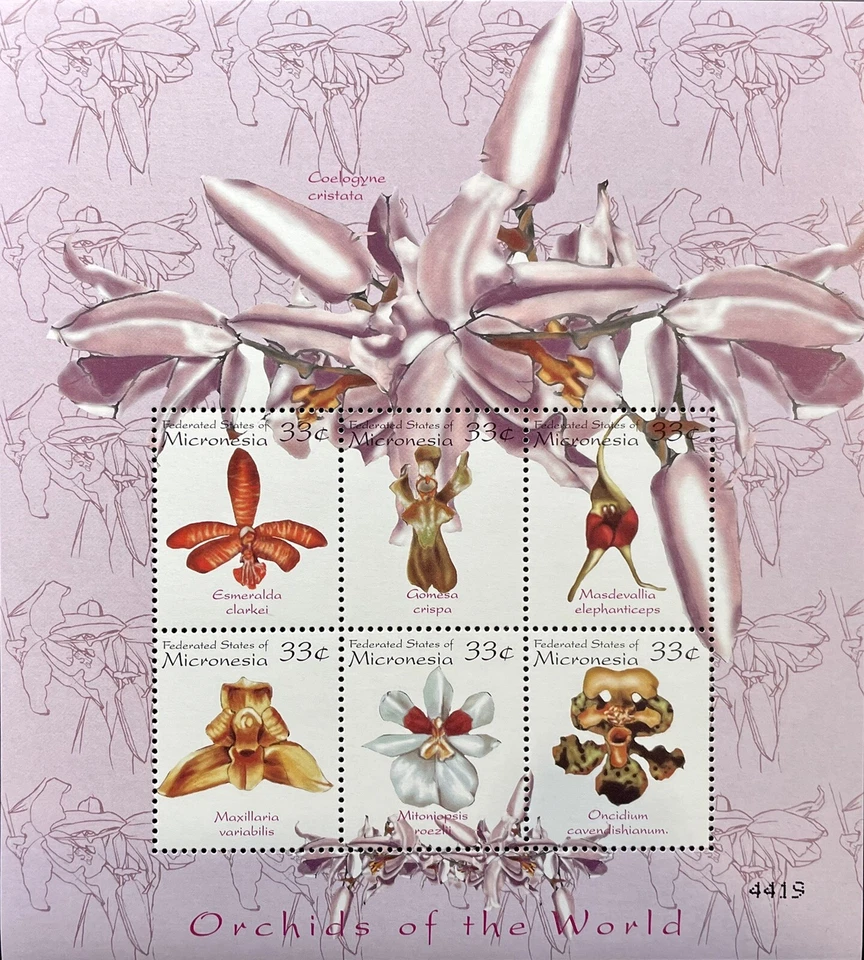 MICRONESIA ORCHIDS OF THE WORLD STAMP SHEETS 2000 MNH WILDFLOWERS FLORA FLOWER - Image 1 of 1