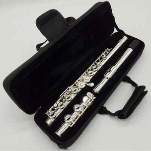 Flauto 381 Flauto Professionale Placcato Argento Gamba C 16 Fori Chiuso Chiave E con Custodia - Foto 1 di 9