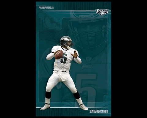 Donovan McNabb INTENSITY (2003) Philadelphia Eagles Vintage 22x34 WALL POSTER Cover