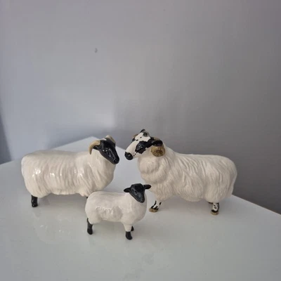 Vintage Beswick Black Faced Ram, Sheep & Lamb Figurine Set - Image 1 of 4