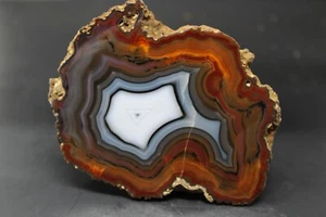 Condor agate collector specimen Slice (fluorescent) - Picture 1 of 5