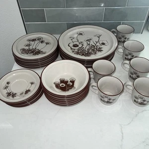 Set of 30 Vintage 1970s/1980s Noritake Stoneware Desert Flowers Dish Set - Picture 1 of 9