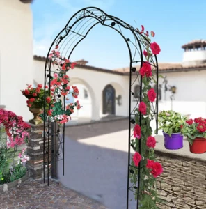 Metal Garden Arch - Picture 1 of 7