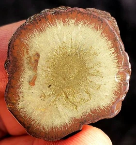 88CT Rare Natural Trapiche Star Chalcopyrite Iron Pyrite Flower Specimen ie2964 - Picture 1 of 13