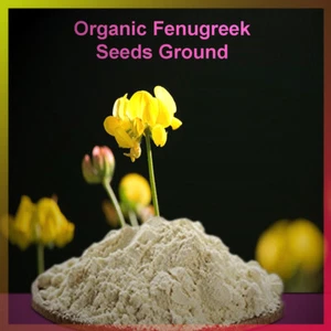 ORGANIC FENUGREEK GROUND POWDER PREMIUM METHI 100% PURE FAST FREE SHIPPING - Picture 1 of 1