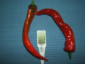 COWHORN Fresh Organically Grown Heirloom HOT Pepper Seeds (20) - Picture 1 of 3