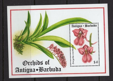 Antigua #1794 (1995 Orchid sheet )  VFMNH  CV $5.50 Cover