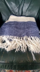West Elm, Ivory and Blue Striped Soft Cozy Throw Blanket Fringe 50"x60” - Picture 1 of 6