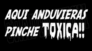 AQUI ANDUVIERAS PINCHE TOXICA CALCOMANIA STICKER DECAL DE VINILO BLANCO 11" - Picture 1 of 1