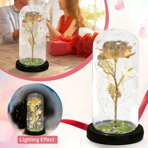 Glowing Rose Decoration Rose Flower Decoration Plastic Cover Decoration - Picture 1 of 9