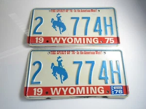 COPPIA 75-1976 WYOMING LO SPIRITO DEL '76 TARGHE 2 77 4H - Foto 1 di 7