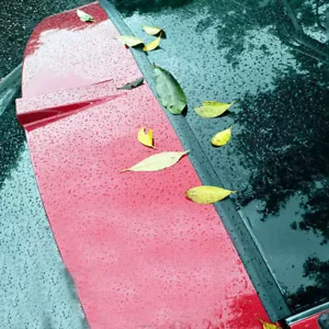 1.6m Car Lid Gap Seal Strip Rubber Sealing Strip For SUV Hatchback Accessories - Foto 1 di 11