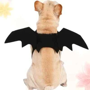 Pet Bat Costume for Dogs Perfect Pet Costume with Bat Wing for Your Furry Friend - Picture 1 of 9