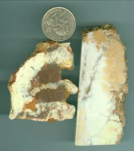 Natural Lemon Chrysophrase 88 grams of Natural Lemon Chrysophrase cabbing rough - Picture 1 of 1
