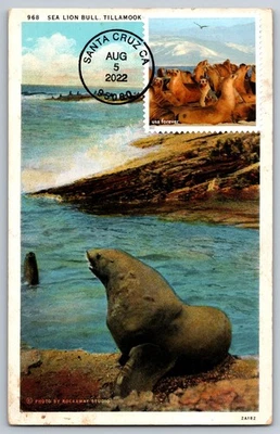 #5713m National Marine Sanctuaries Seal Lions FDC Maxi Card on Vintage PC - Image 1 of 2