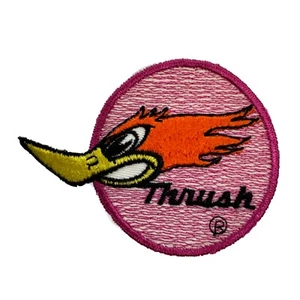 Vintage Thrush Muffler Exhaust Jacket Hat Patch Woodpecker Lake Forest Illinois - Picture 1 of 3