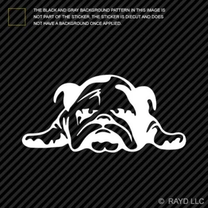 (2x) English Bulldog Puppy Sticker Self Adhesive Die Cut Vinyl - Picture 1 of 1