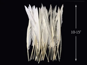 10 Pieces - Natural White Goose Pointers Long Primaries Wing Feathers Costume - Picture 1 of 10