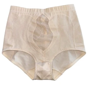 NEW Vtg Adonna JCPenney 3155 Shaping Brief Panty Beige Size Large USA Made - Picture 1 of 6