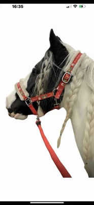 Chritmas Head Collar Sets for Horses Lots Available All Sizes - Image 1 of 3