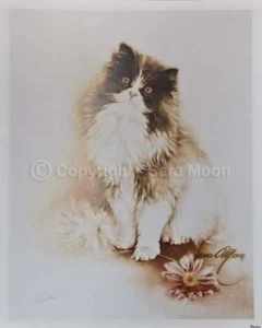 SARA MOON “Cat with Flower”  16”x20” Personally Signed Original Archive Print - Picture 1 of 3