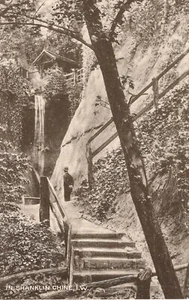 (aw30) In Shanklin Chine  - Isle of Wight Postcard - Picture 1 of 2