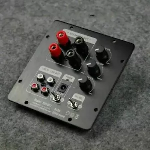 SW-501 TPA3118 2.1 Amplificatore Digitale Subwoofer Attivo Scheda AMP di Potenza - Foto 1 di 12