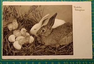 Deutschland AK 1940, Heraldik Ostergrusse, gelaufen - Bild 1 von 5