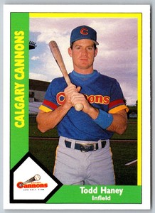 1990 CMC Calgary Cannons Todd Haney #18 Calgary Cannons