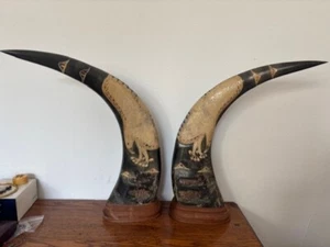 Paar montierte 15 Zoll große geschnitzte Adler Design Wasserbüffelhörner - Bild 1 von 4