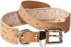 Woodland Dog Collar From Leather for Dogs With 50-65 " Neck Circumference IN Tan