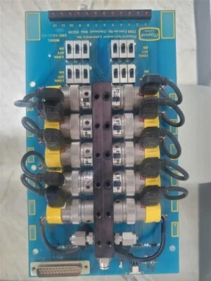 TARJETA CLIPPARD EMC-12-00-01 12 VÁLVULAS ELEC MFLD CON VÁLVULAS Foto 1 de 3