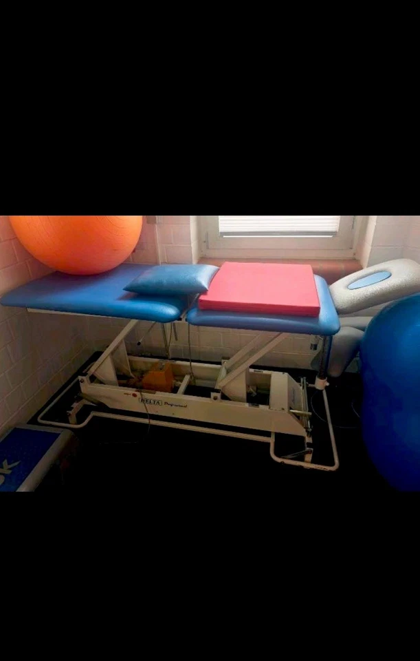 Behandlungsliege Lojer Delta Professional – gebraucht, funktionsfähig - Bild 1 von 1